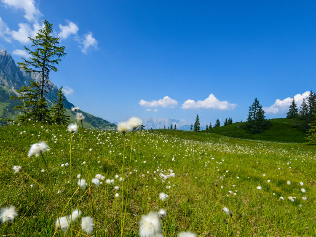 Region Hochkoenig Troiboden