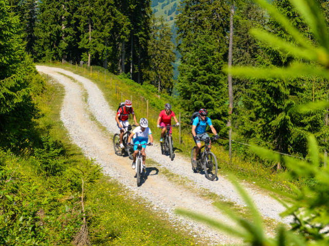 Region Hochkönig Biken